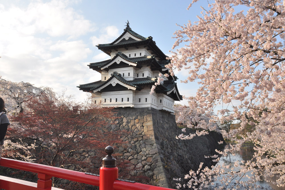 位於弘前市中心的弘前公園為日本國內著名櫻花景點，總面積約49萬2000平方公尺。
